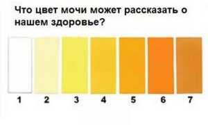 Тёмная моча при беременности