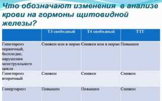 Что такое гормон Т3?