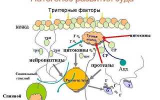 Основные причины возникновения кожного зуда