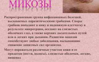 Как правильно лечить дерматит в области паха
