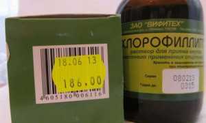 Хлорофиллипт эффективное средство от стафилококка