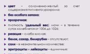 Белые хлопья в моче у ребенка