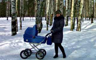 Inglesina Sofia: идеальная коляска-люлька для первых месяцев малыша
