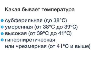 Температура при бронхите у взрослых: какая бывает и сколько держится
