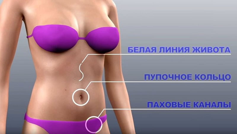 Как описывается живот
