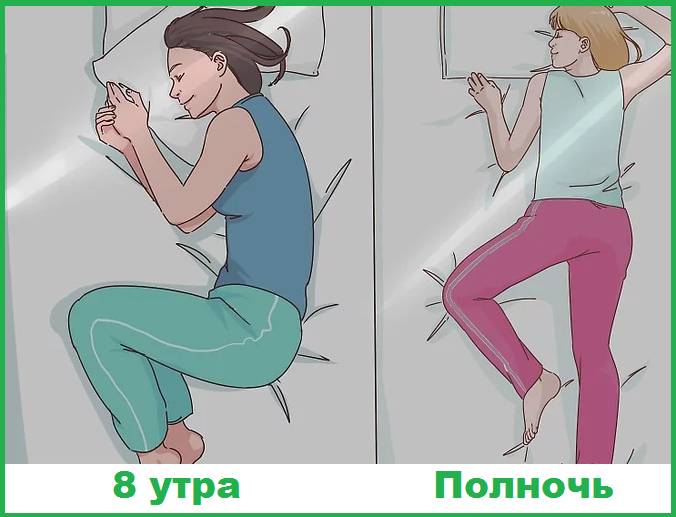 На рисунке две позы для сна.