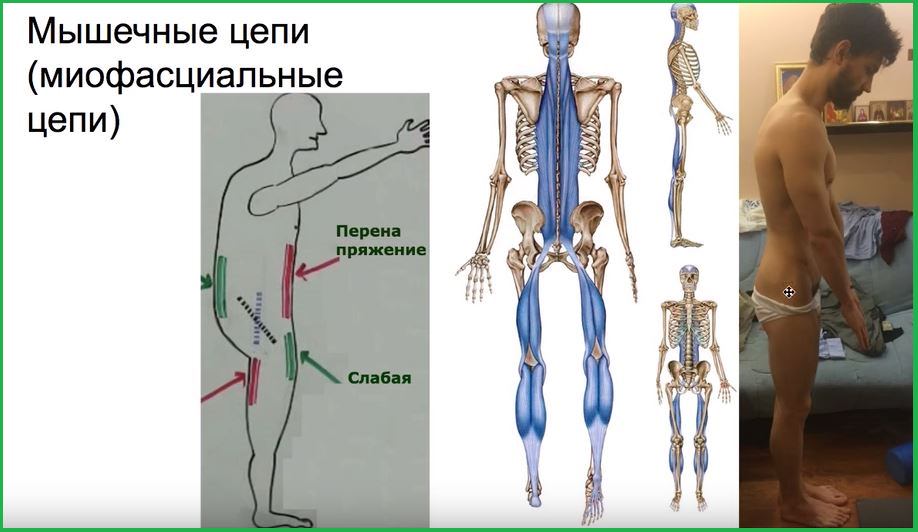 Сравнение рисунка и фотографии.
