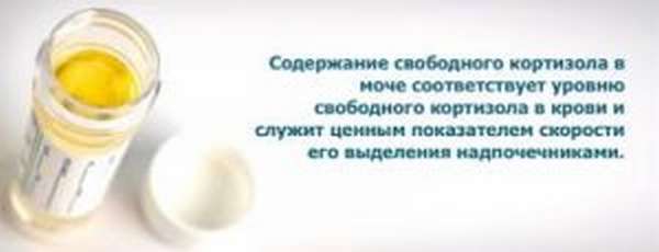 Норма кортизола в суточной моче