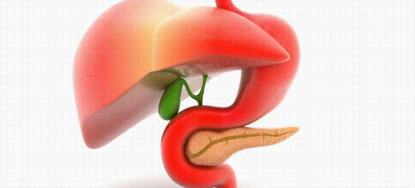 Народные методы лечения желудка и поджелудочной железы