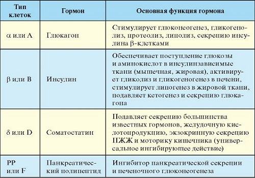 функции гормонов