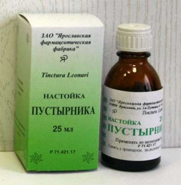 Пустырник