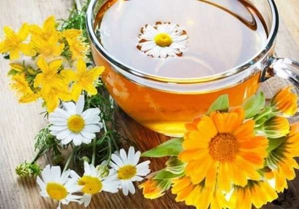Отвар из цветков календулы и ромашки