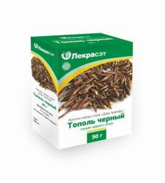 Почки тополя черного