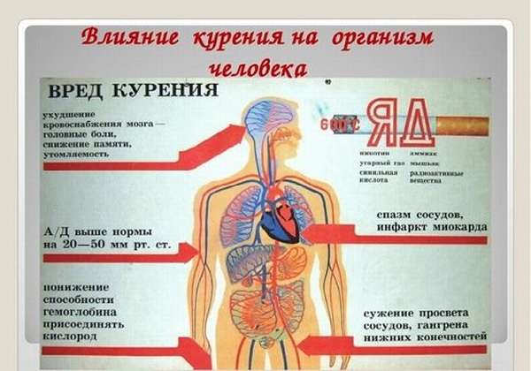 Влияние курения на организм