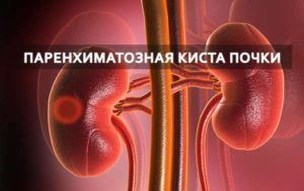 Паренхиматозная киста почки
