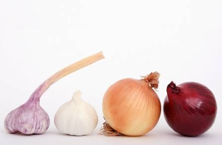 Чеснок и лук