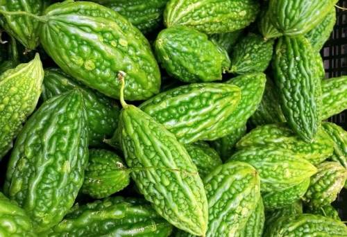 Kitajskaja gor'kaja tykva