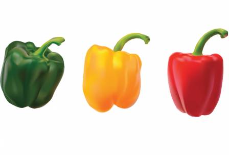 Перцы разноцветные
