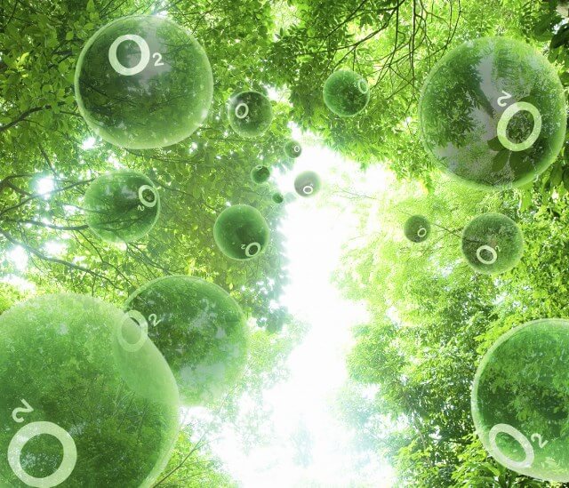 гемоглобин