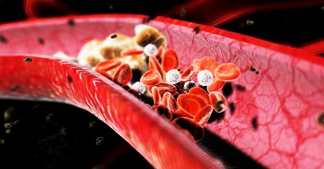 циркуляция крови