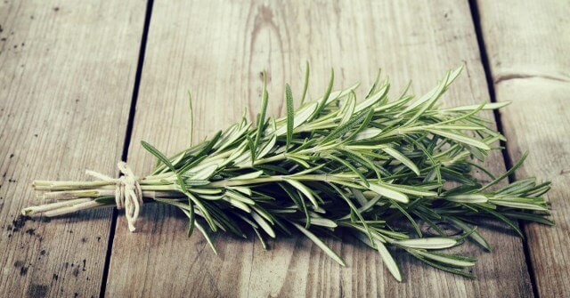 розмарин