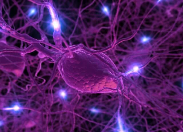 тысячелистник масло