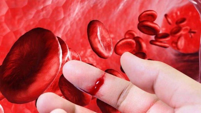 тысячелистник масло