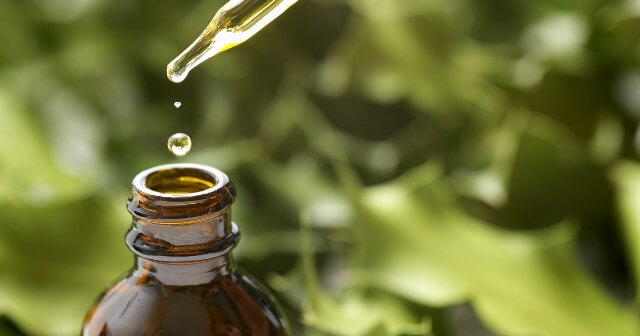 тысячелистник масло