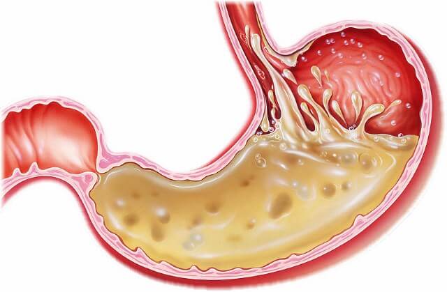 тысячелистник масло