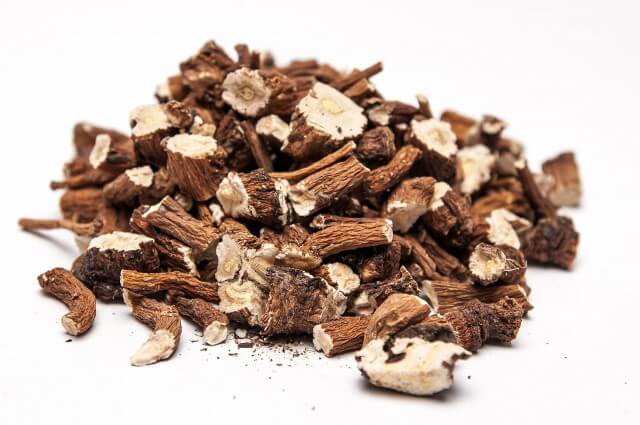 корни одуванчика