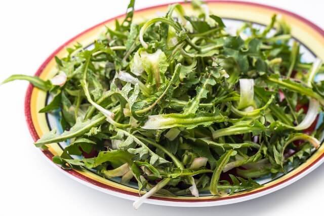 корни одуванчика