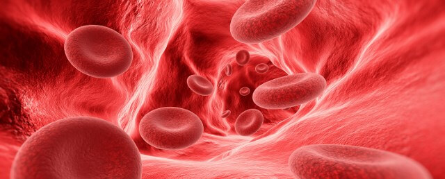 корень одуванчика