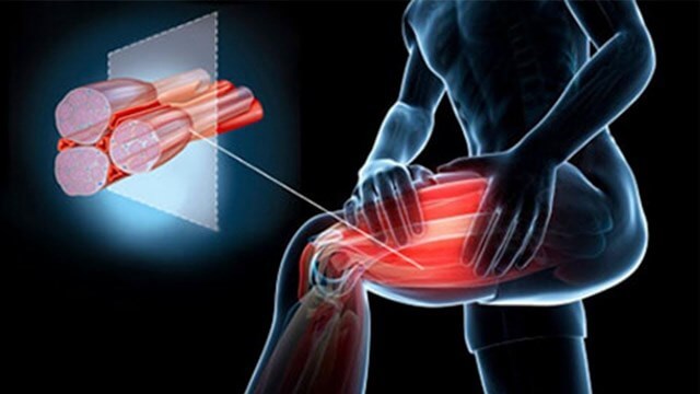 тысячелистник масло