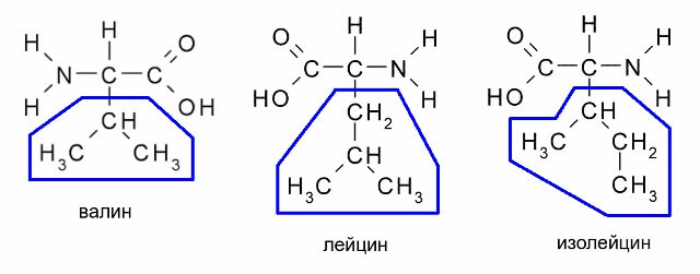 аминокислоты