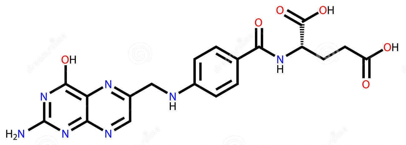 горькая тыква