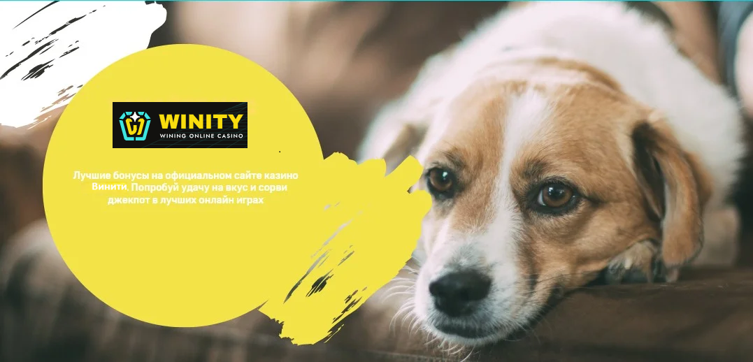 Бонусы Winity казино
