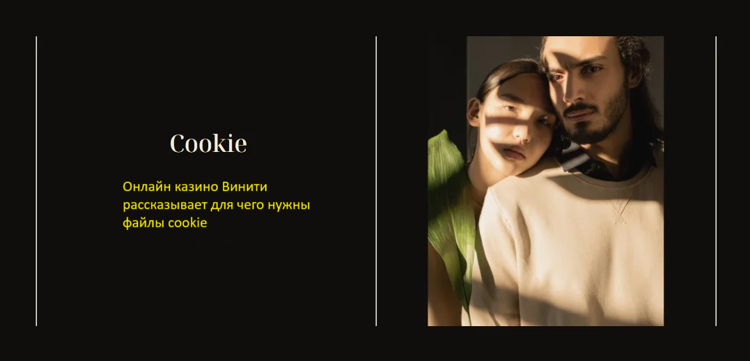 Политика cookie в онлайн казино Винити